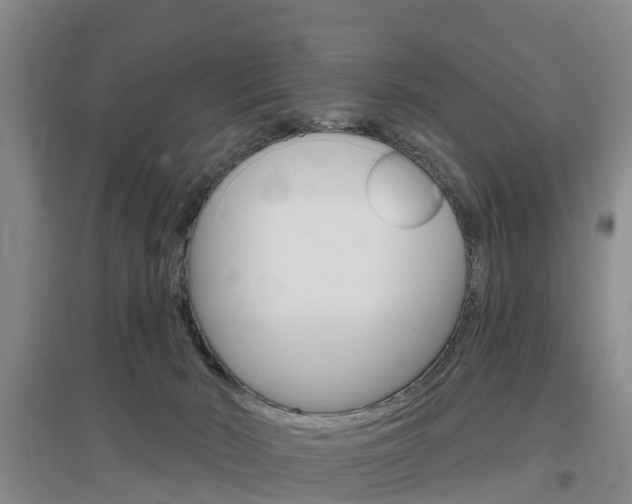 X0000097470030200802220839