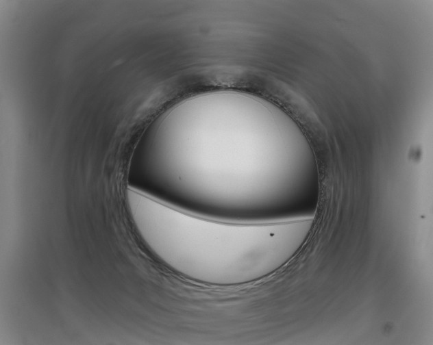 X0000097470031200802220839