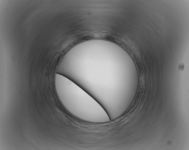 X0000097470032200802220839