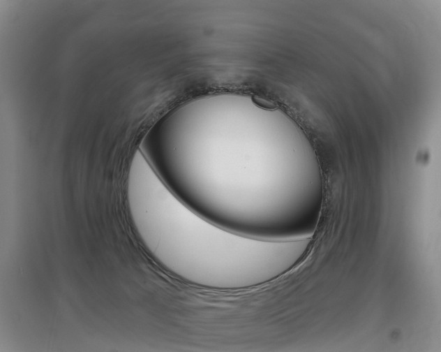X0000097470033200802220839