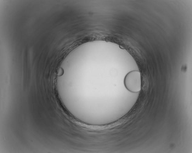 X0000097470034200802220839