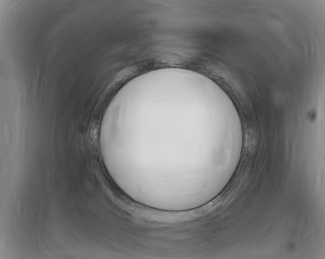 X0000097470036200802220839