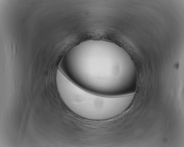 X0000097470037200802220839