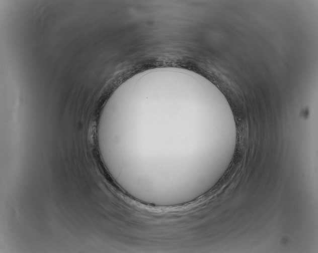 X0000097470038200802220839