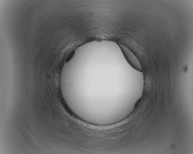 X0000097470043200802220839