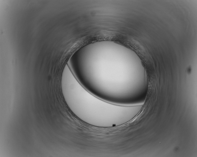 X0000097470045200802220839