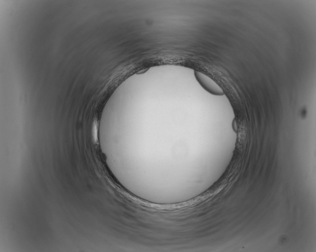 X0000097470046200802220839
