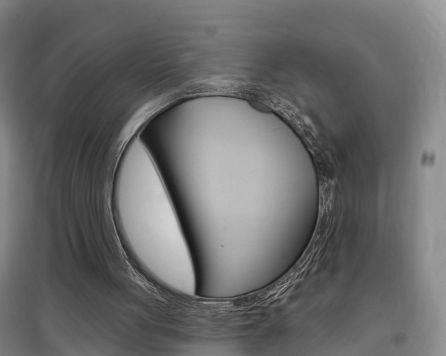 X0000097470051200802220838