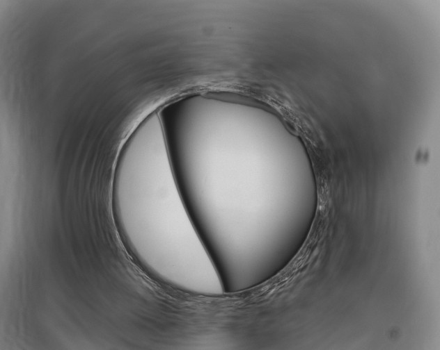X0000097470052200802220838