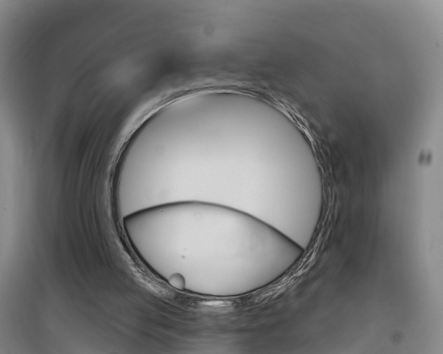 X0000097470053200802220838
