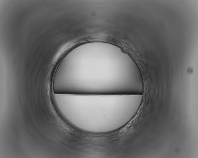 X0000097470054200802220838