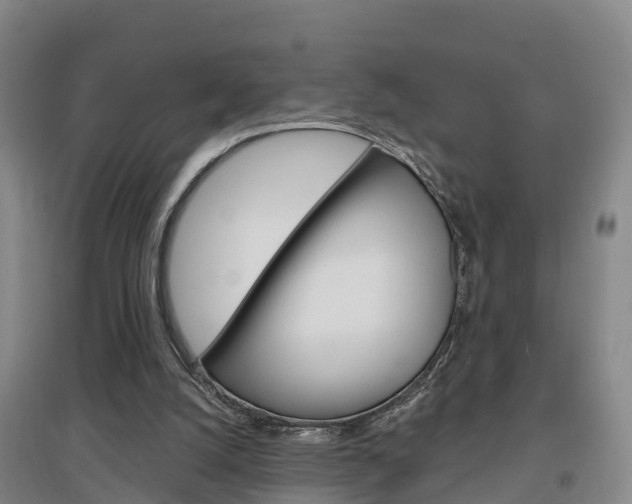 X0000097470056200802220838
