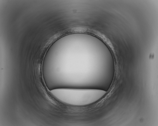 X0000097470057200802220838