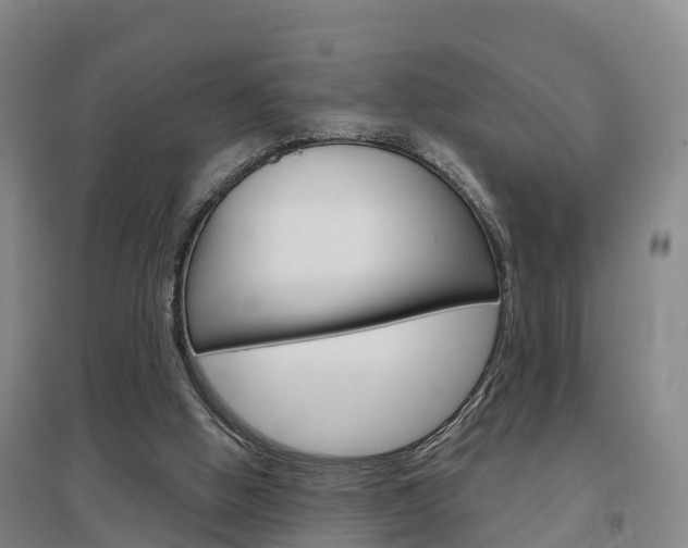 X0000097470058200802220838