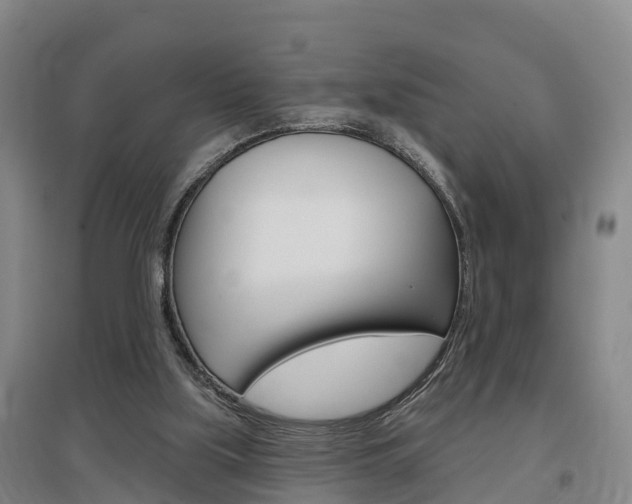 X0000097470059200802220838