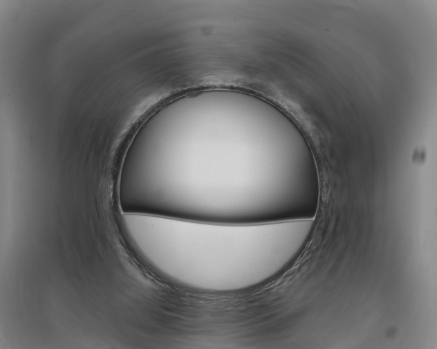 X0000097470060200802220838
