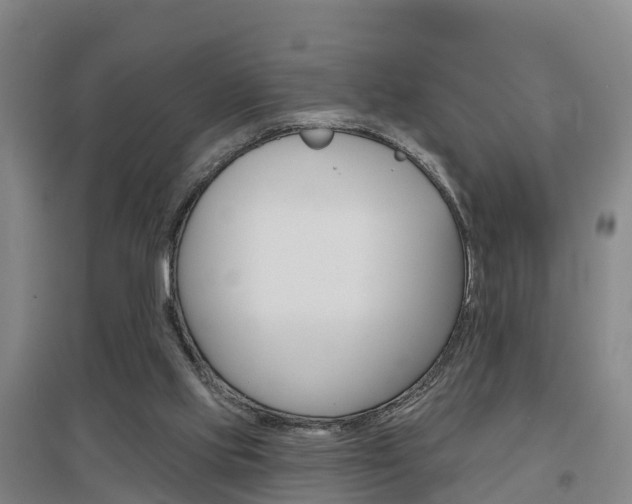 X0000097470061200802220838