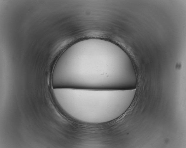 X0000097470062200802220838