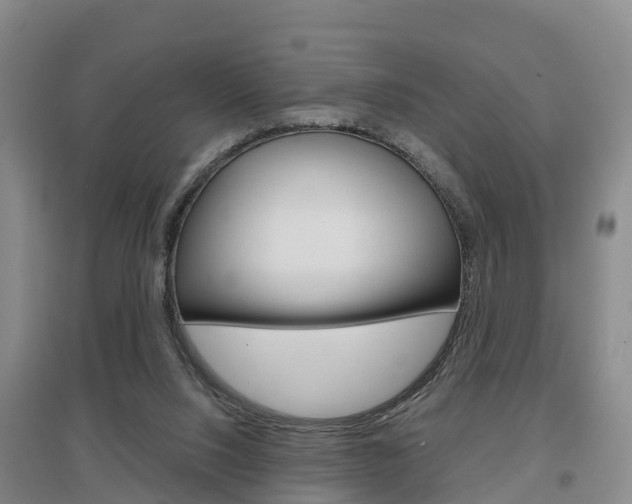 X0000097470064200802220838