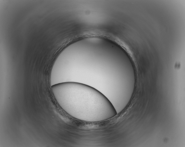X0000097470065200802220838