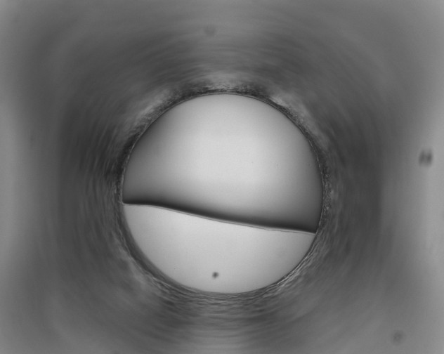 X0000097470066200802220838