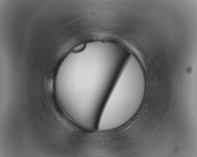 X0000097470067200802220838