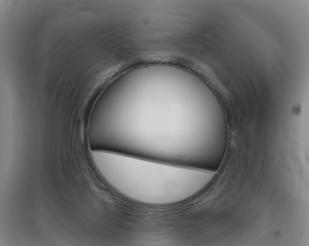 X0000097470068200802220838