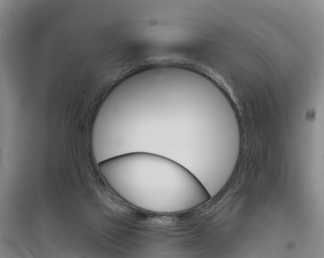 X0000097470069200802220838