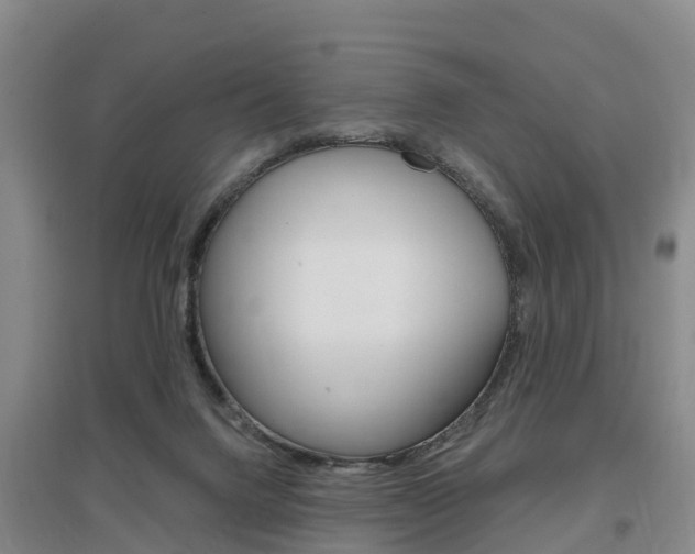 X0000097470072200802220838