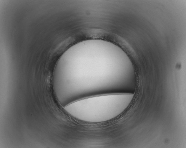 X0000097470073200802220838