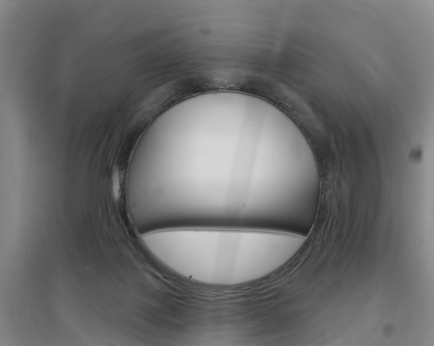 X0000097470075200802220838
