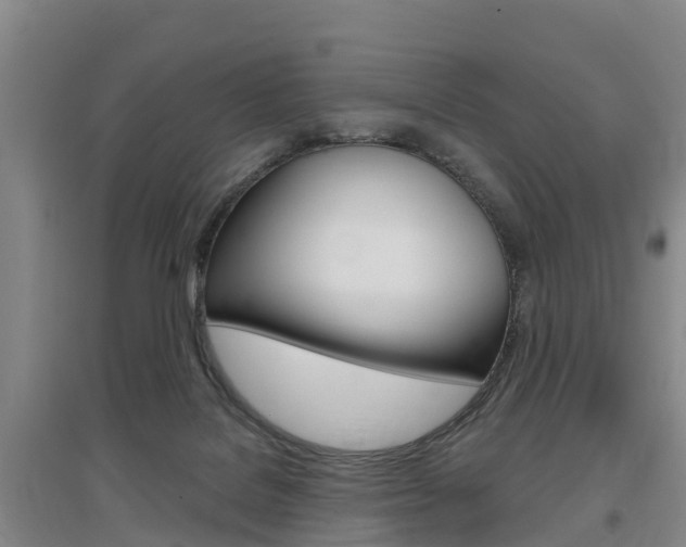 X0000097470076200802220838