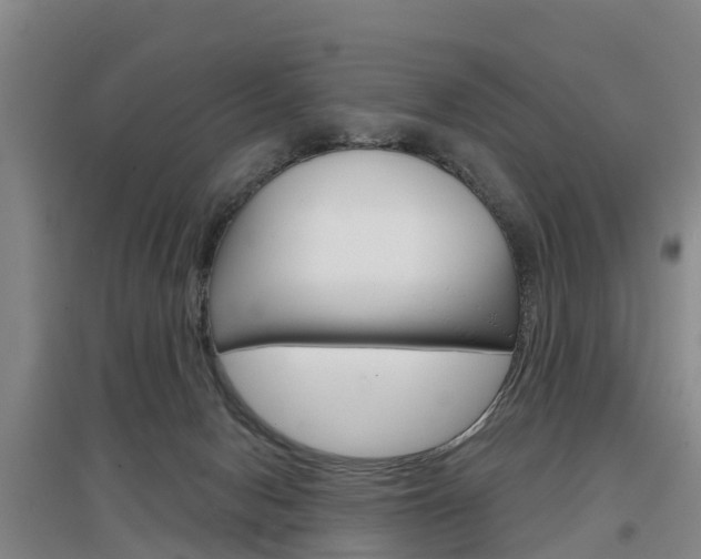 X0000097470078200802220838