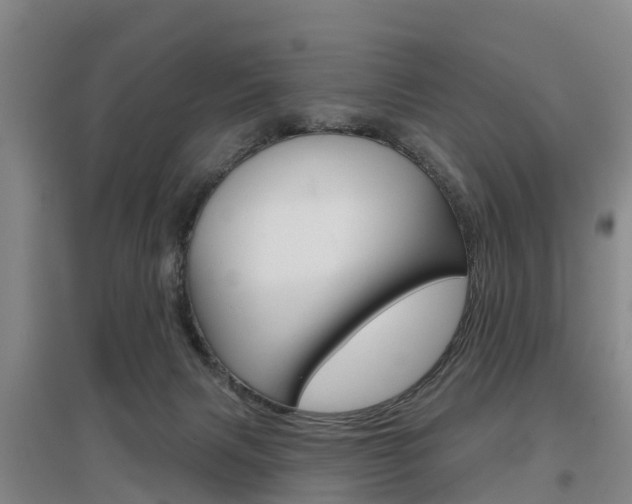 X0000097470079200802220838