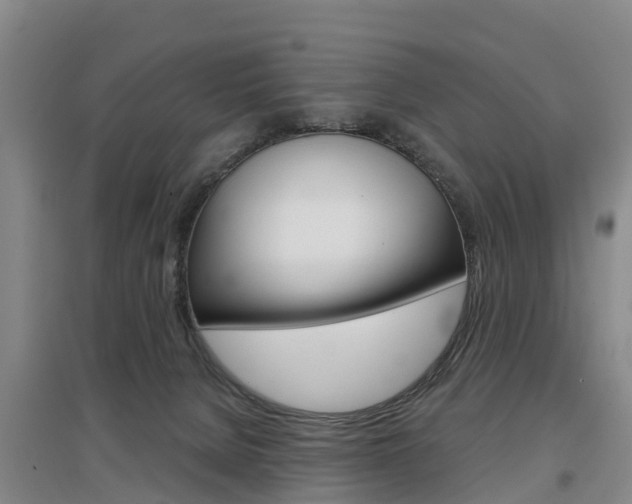 X0000097470080200802220838