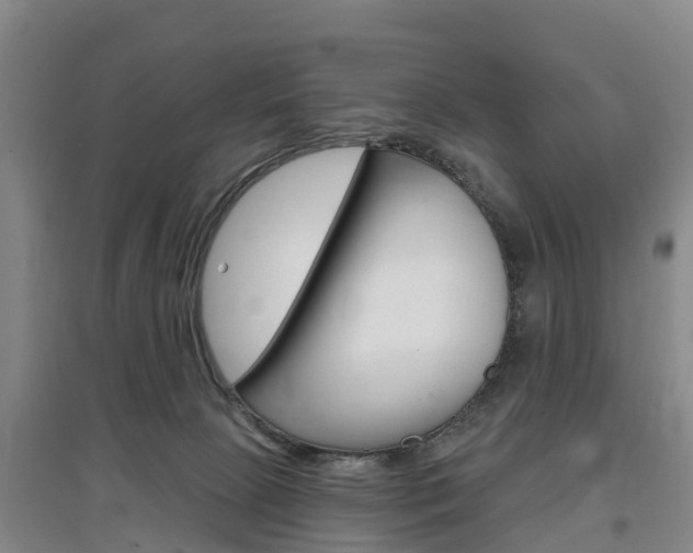X0000097470081200802220838