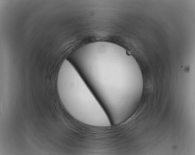 X0000097470082200802220838