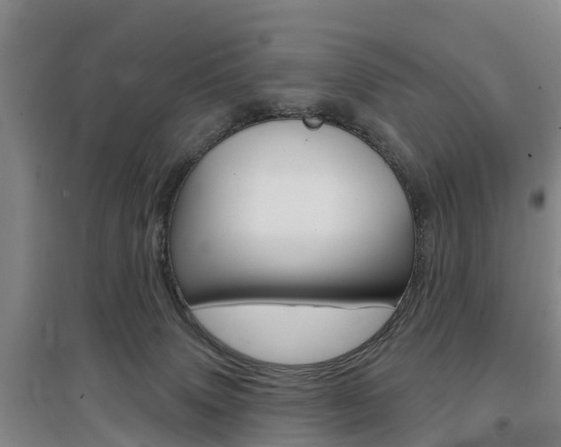 X0000097470083200802220838
