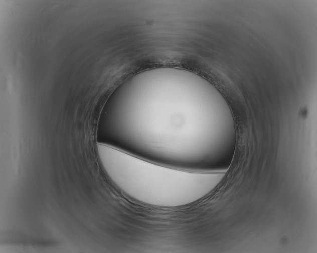 X0000097470084200802220838