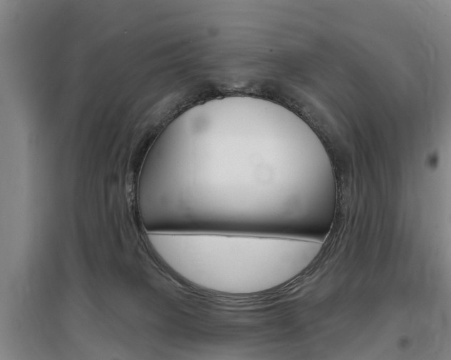 X0000097470085200802220838