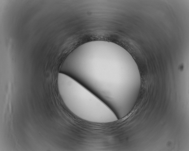 X0000097470086200802220839
