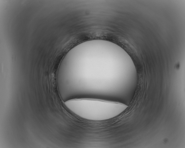 X0000097470087200802220839