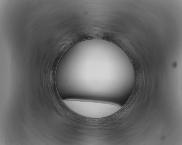 X0000097470088200802220839