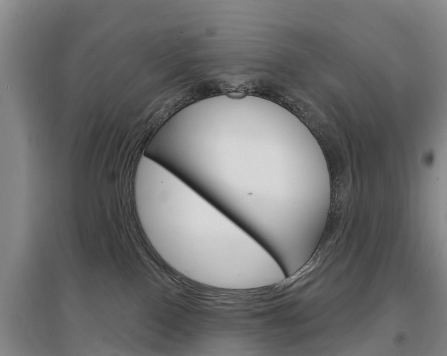 X0000097470090200802220839