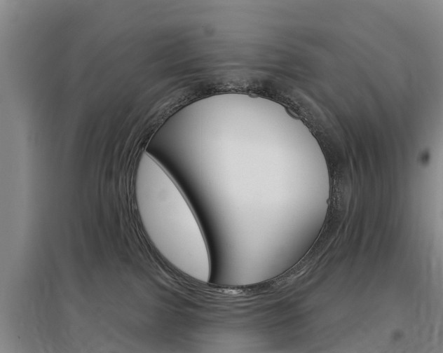 X0000097470091200802220839