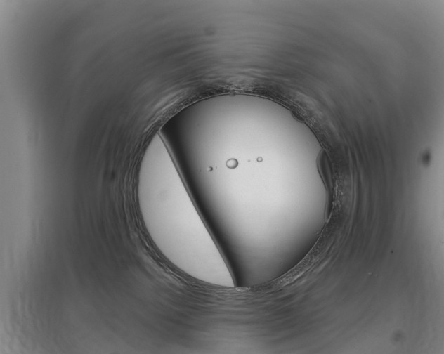 X0000097470092200802220839