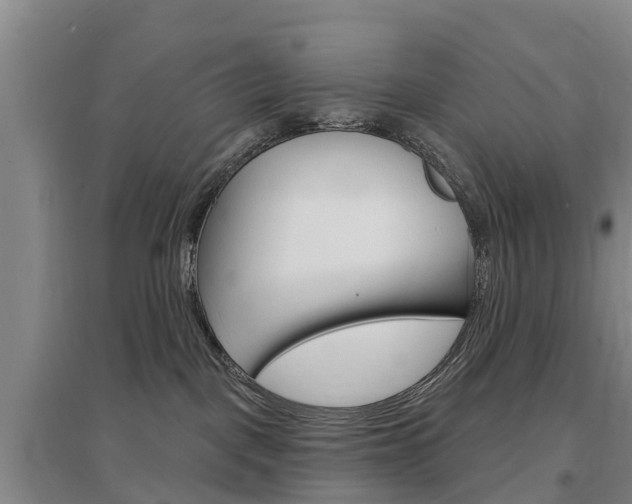 X0000097470093200802220839