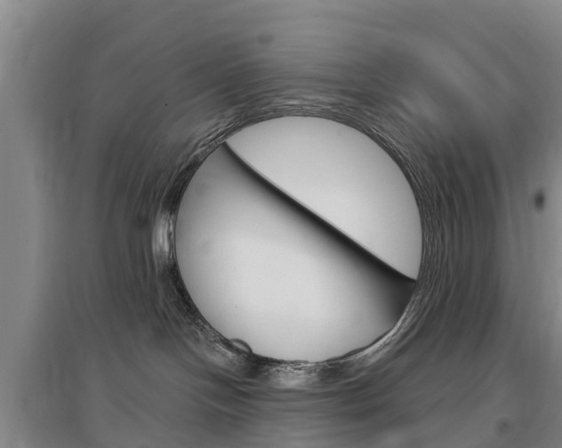 X0000097470094200802220839