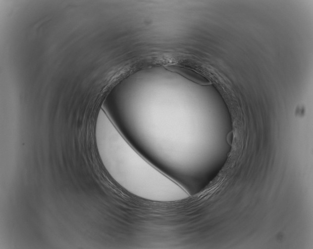 X0000097470096200802220839