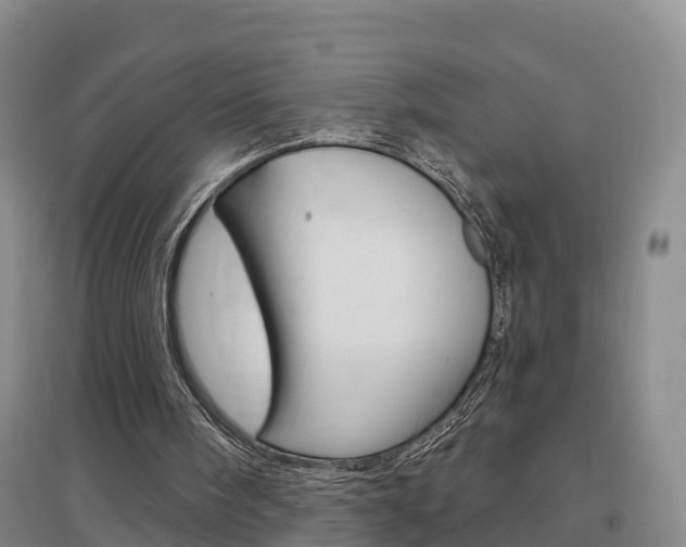 X0000097470098200802220838
